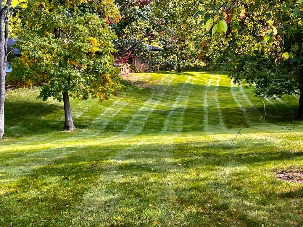 Residential backyard lawn with crisp, professional mowing stripes