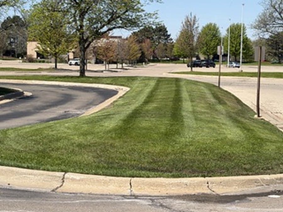 Striped grass median in a commercial parking lot
