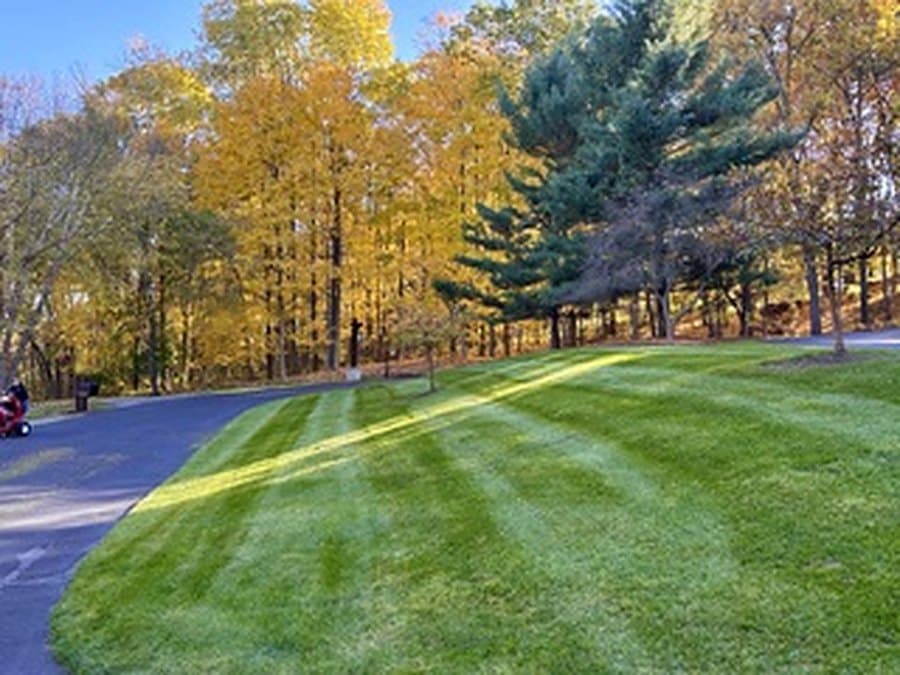 Lawn edge curving cleanly along a paved driveway framed by autumn woods
