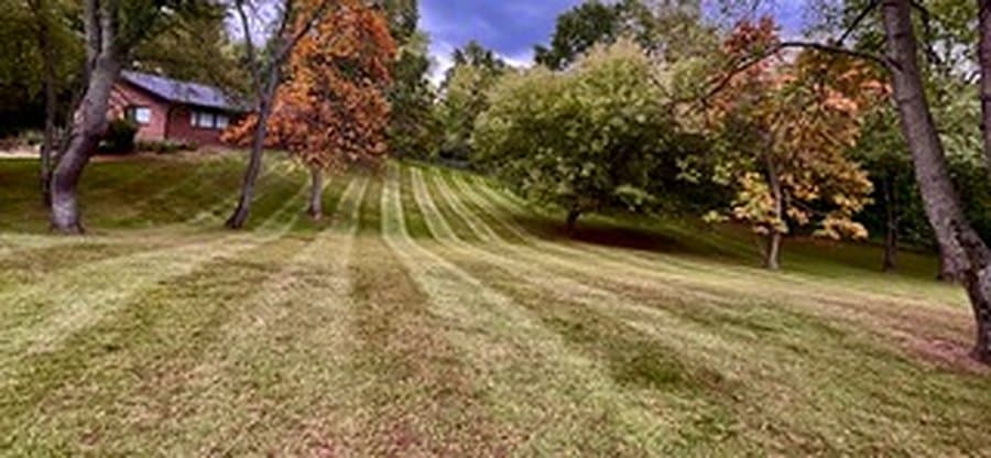 Freshly cut hillside lawn framed by autumn color