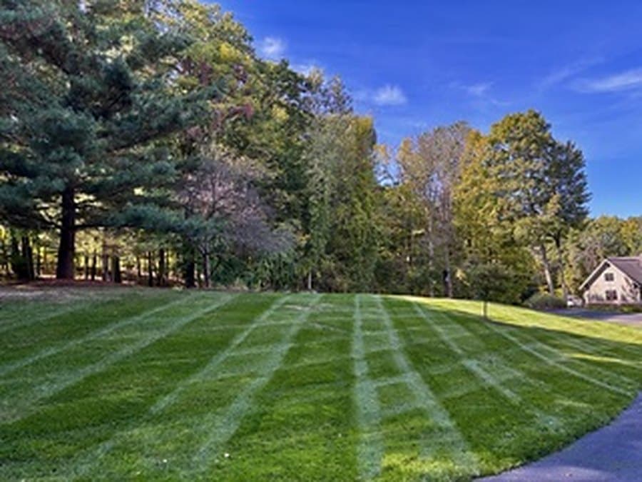 Striped lawn beside a home with autumn trees under a deep blue sky