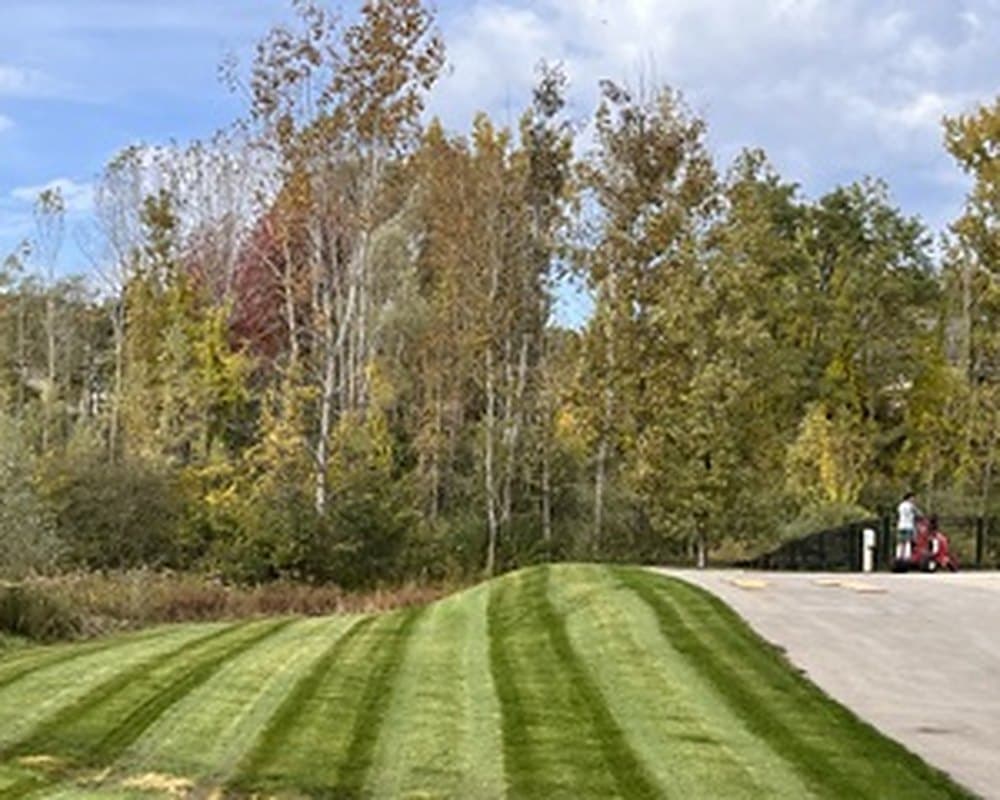 Restored lawn cut clean along a wooded tree line in early fall