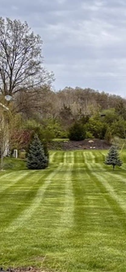 Striped lawn running down a slope toward mature trees