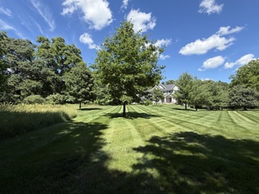 Open lawn mowed around a large shade tree with a white farmhouse behind
