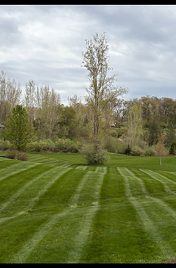Wide green lawn with fresh spring mowing stripes running toward a tree line