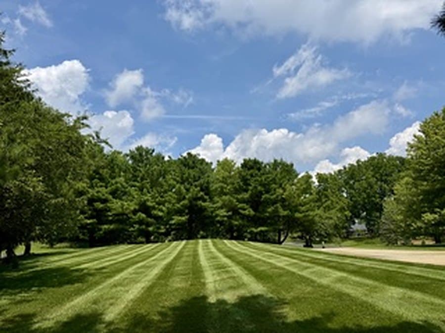Broad striped lawn under a blue sky with summer clouds